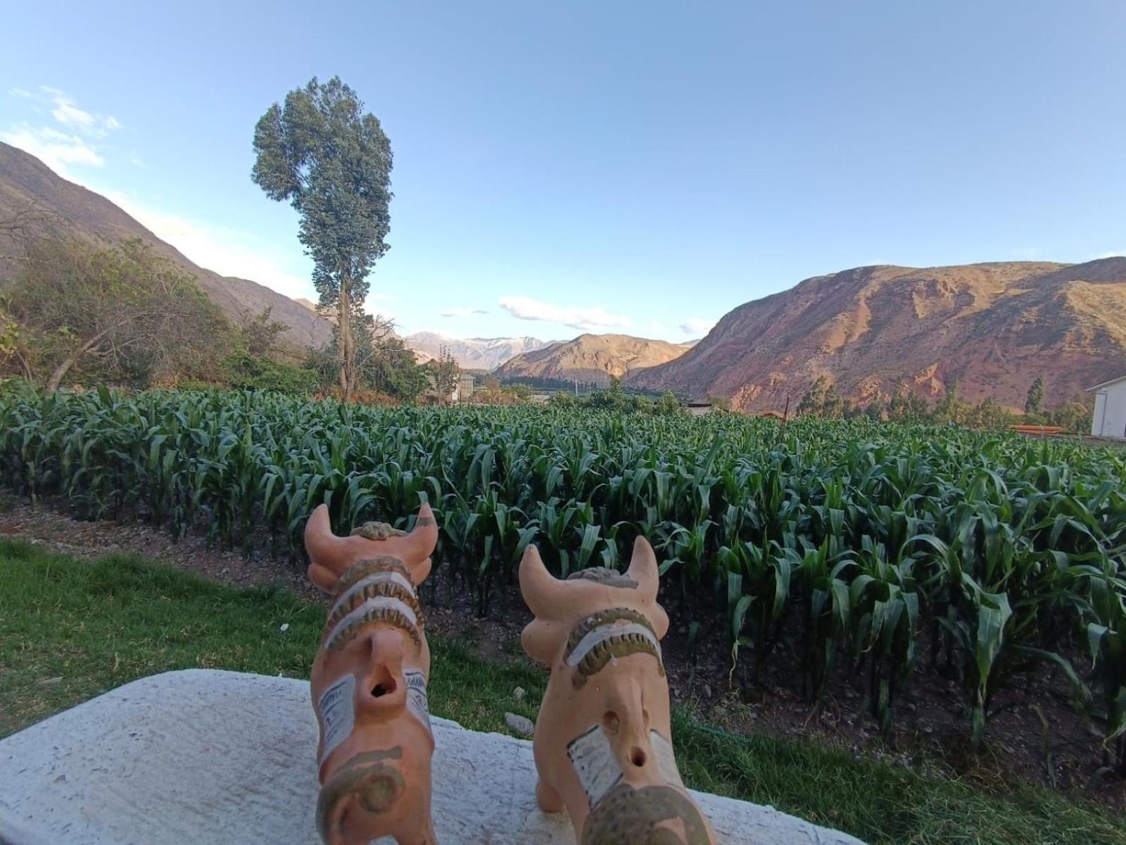 Casa Yanahuara Valle Sagrado - Urubamba Eksteriør billede